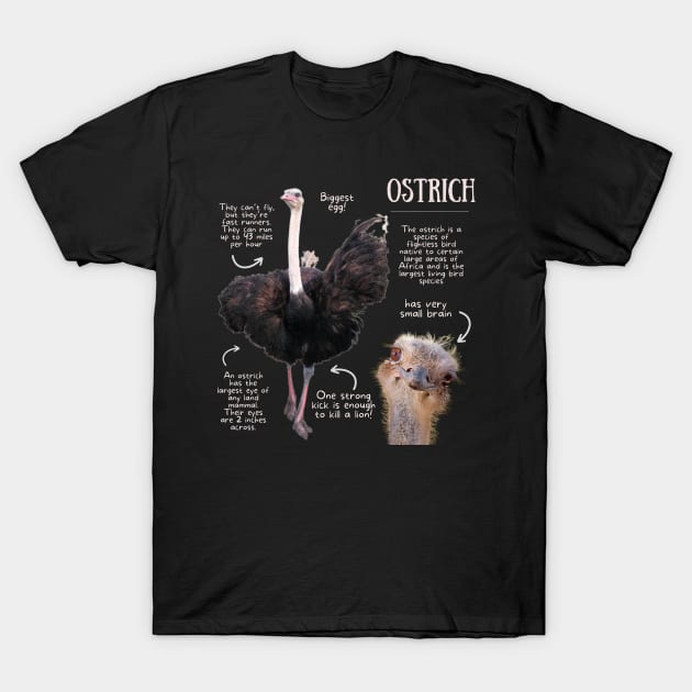 Animal Facts - Ostrich T-Shirt by Animal Facts and Trivias